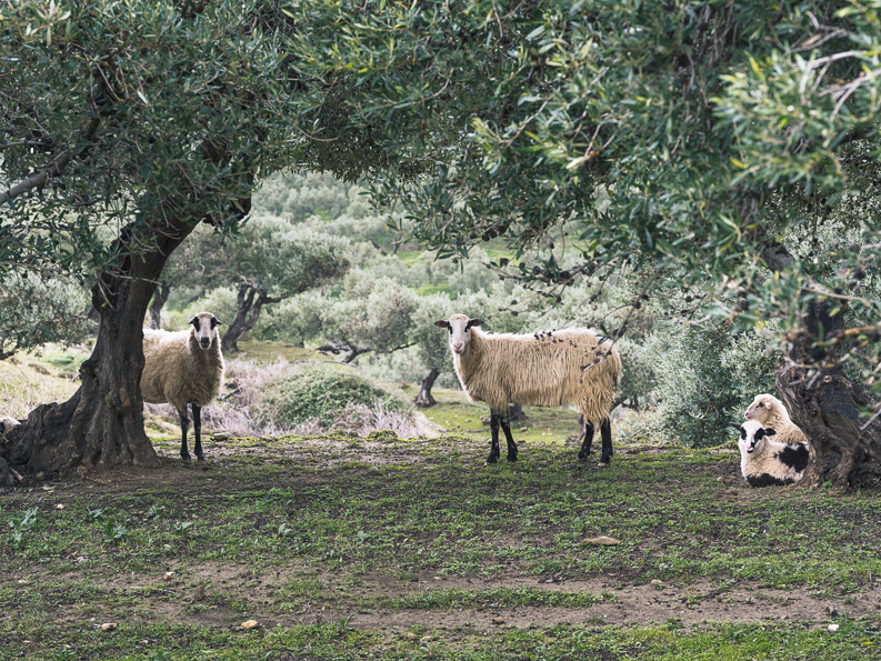 Μητέρες και παιδιά